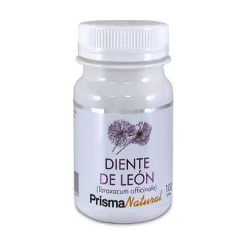 Dente di leone – Image 2